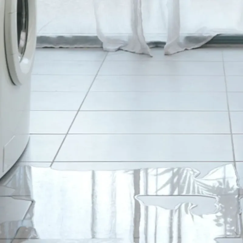Appliance Leak Cleanup in Lowell, OR