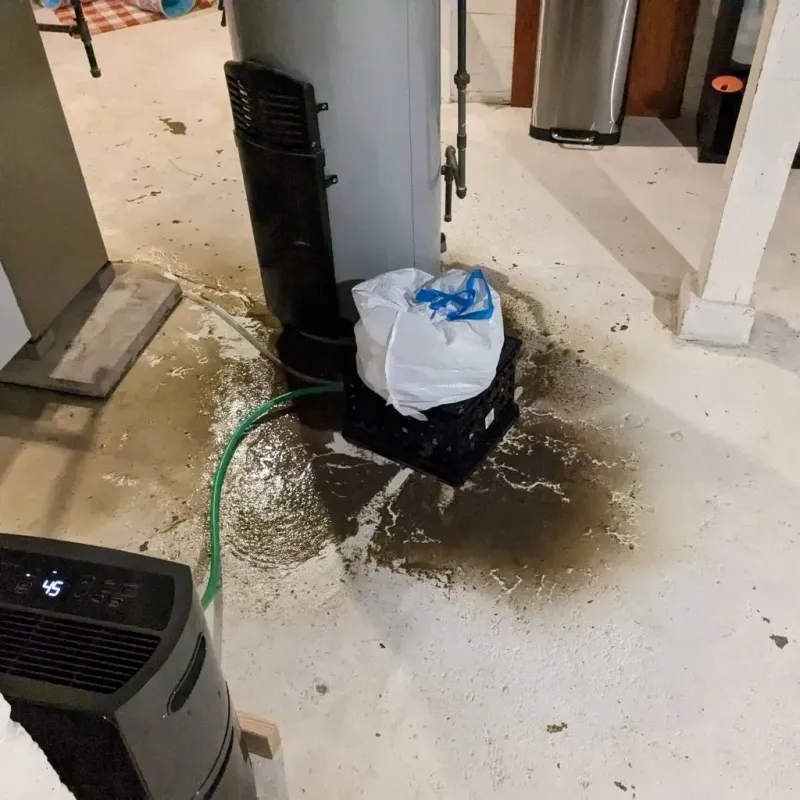 Sewage Backup Cleanup Service in Lowell, OR